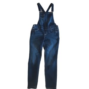 Wallflower denim overalls
